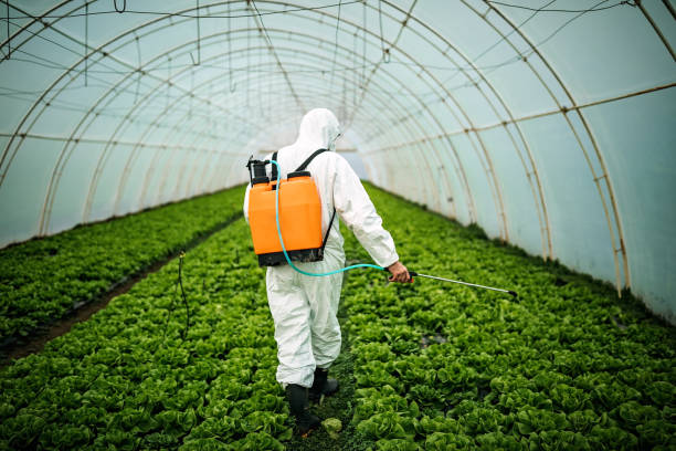 Best Affordable Pest Control Services  in Occidental, CA
