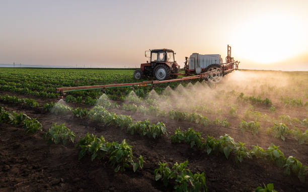 Professional Pest Control in Occidental, CA