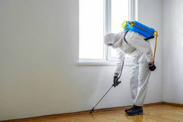 Best Mosquito Control Services  in Occidental, CA
