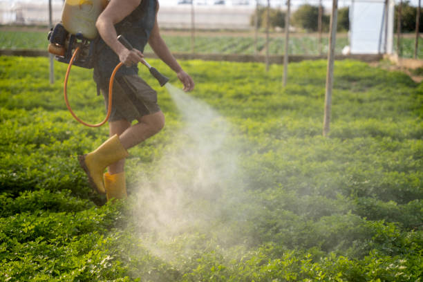 Best Wildlife Control Services  in Occidental, CA