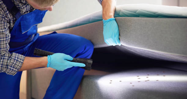 Best Pest Inspection Near Me  in Occidental, CA