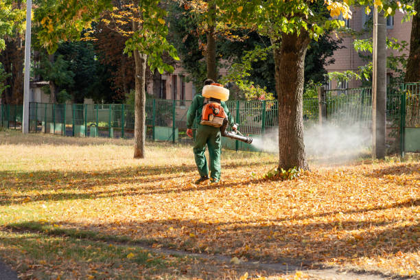 Best Pest Control Near Me  in Occidental, CA