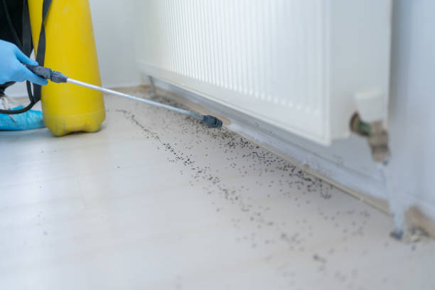 Best Commercial Pest Control Services  in Occidental, CA