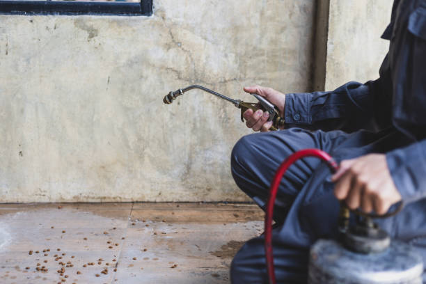 Best Emergency Pest Control  in Occidental, CA